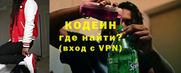 сатива Корсаков