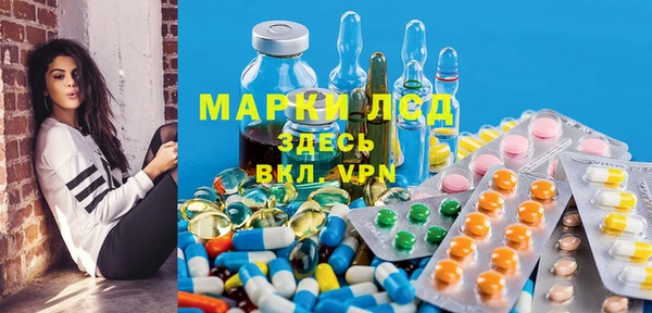 сатива Корсаков