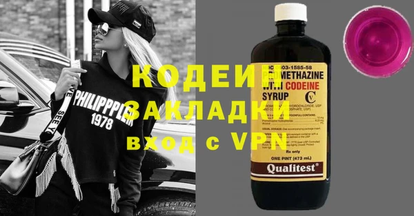 сатива Корсаков
