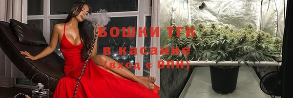 сатива Корсаков